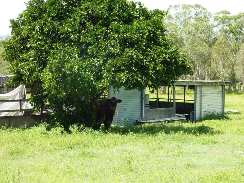 Meadowvale QLD 4670