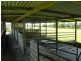Meadowvale QLD 4670