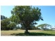 Bundaberg North QLD 4670