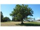 Bundaberg North QLD 4670