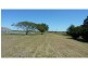 Bundaberg North QLD 4670