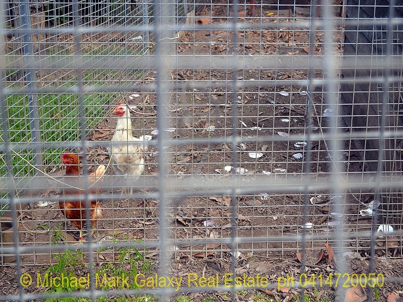 Bundaberg East QLD 4670