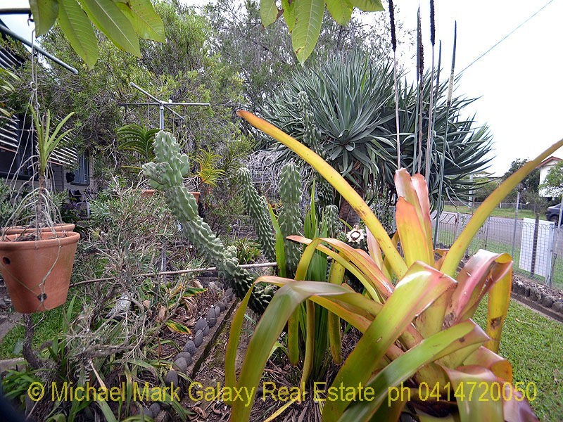 Bundaberg East QLD 4670