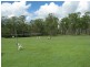 701 Birthamba Road, South Kolan QLD 4670