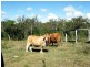 Kolonga QLD 4671