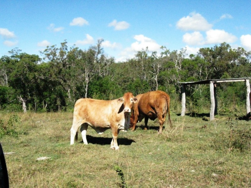 Kolonga QLD 4671