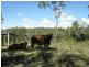 Kolonga QLD 4671
