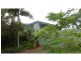 278 Burnett Heads Road, Burnett Heads QLD 4670