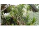 278 Burnett Heads Road, Burnett Heads QLD 4670