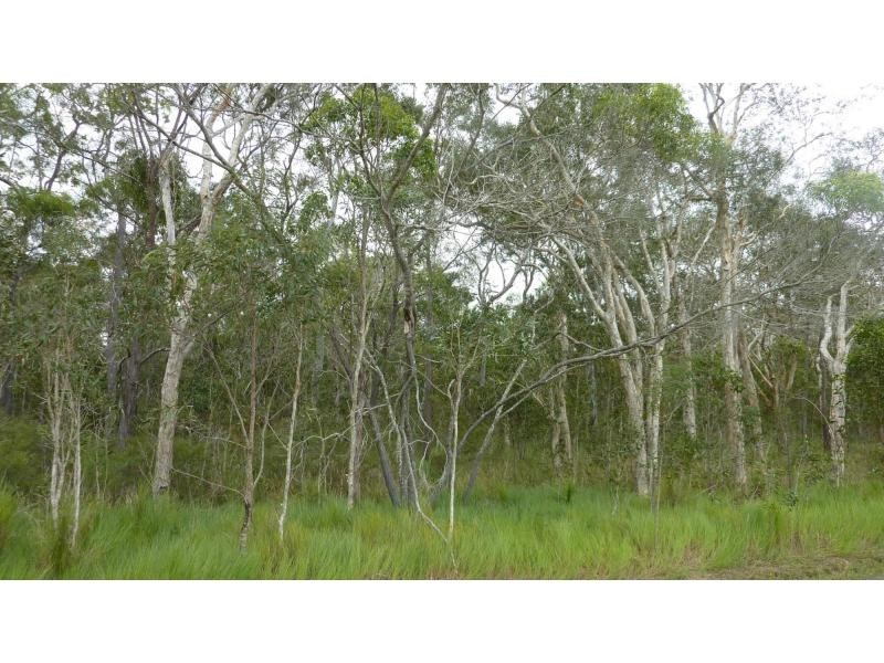 Moore Park Beach QLD 4670