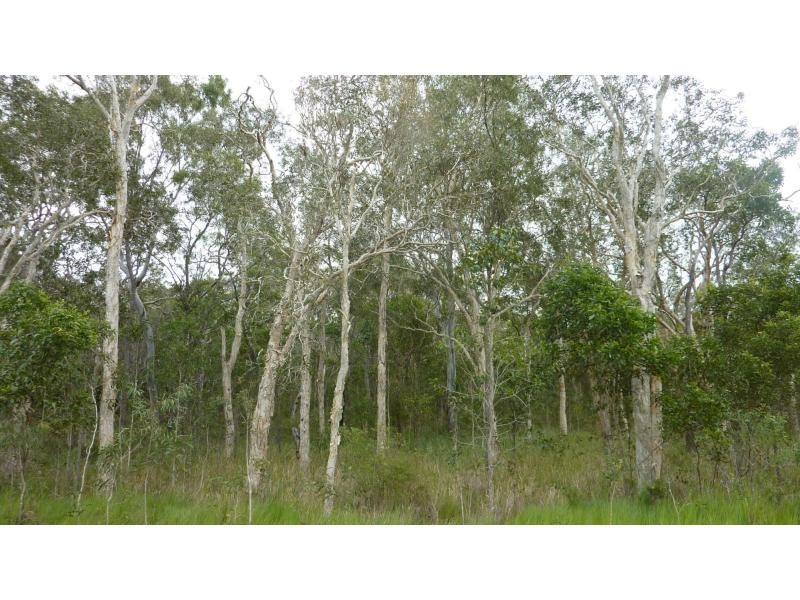 Moore Park Beach QLD 4670