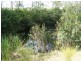 Lot 18 Powells Road, Mcilwraith QLD 4671
