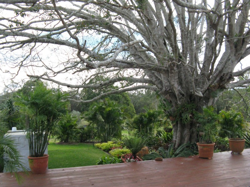 Berajondo QLD 4674
