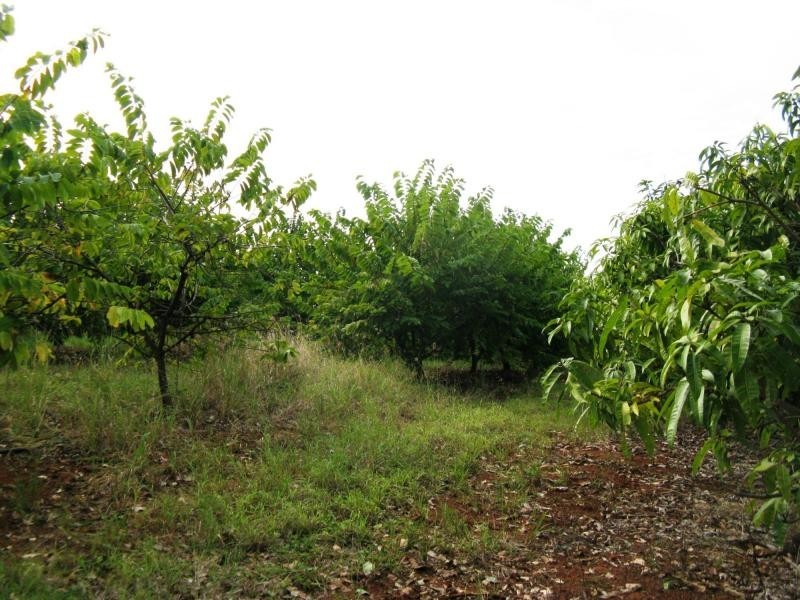 Gin Gin QLD 4671