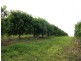 Gin Gin QLD 4671