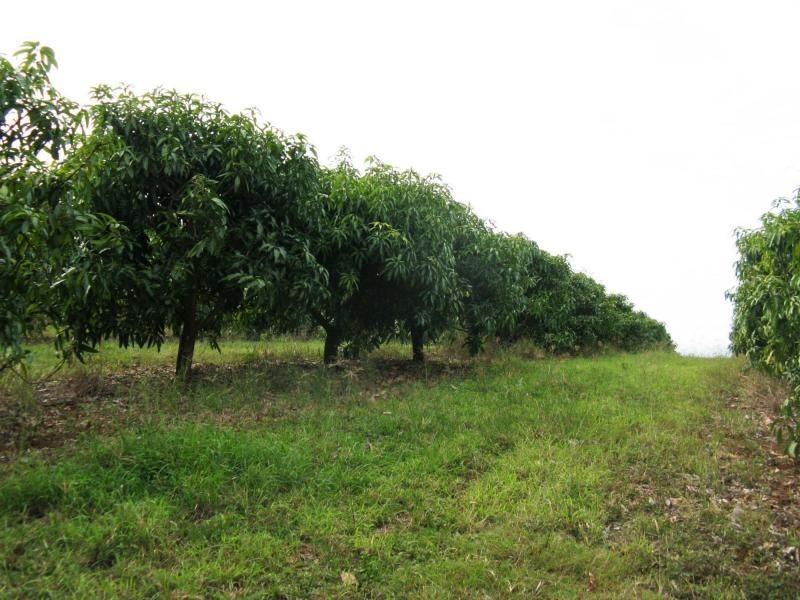 Gin Gin QLD 4671