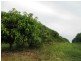 Gin Gin QLD 4671