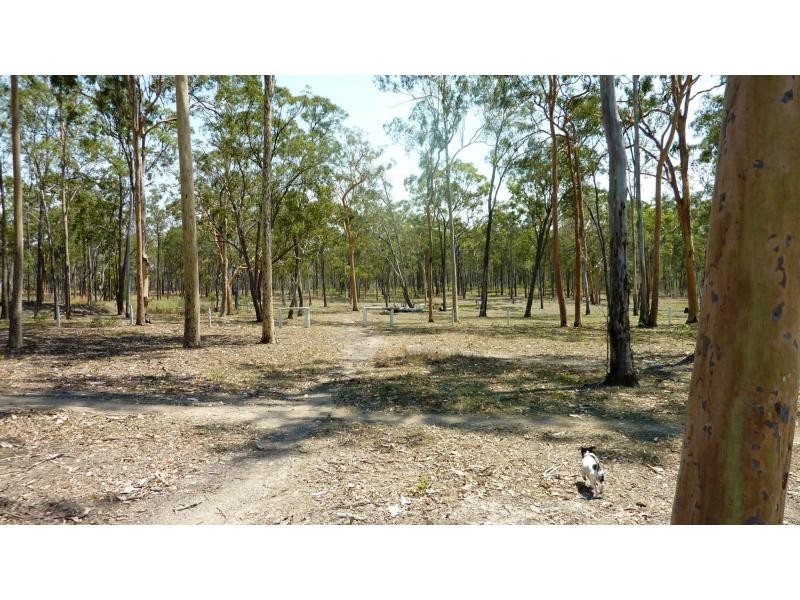 52 Rounds Road, Bucca QLD 4670