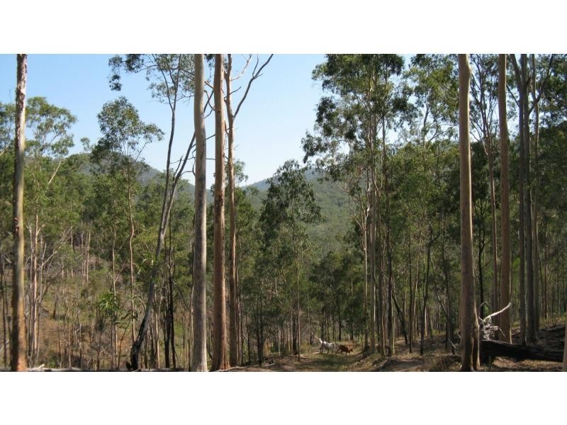 L89 North Branch Road, Mount Perry QLD 4671