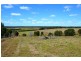 Bucca QLD 4670