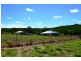 Bucca QLD 4670