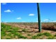 Bucca QLD 4670