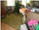 Bucca QLD 4670