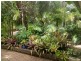 Bucca QLD 4670