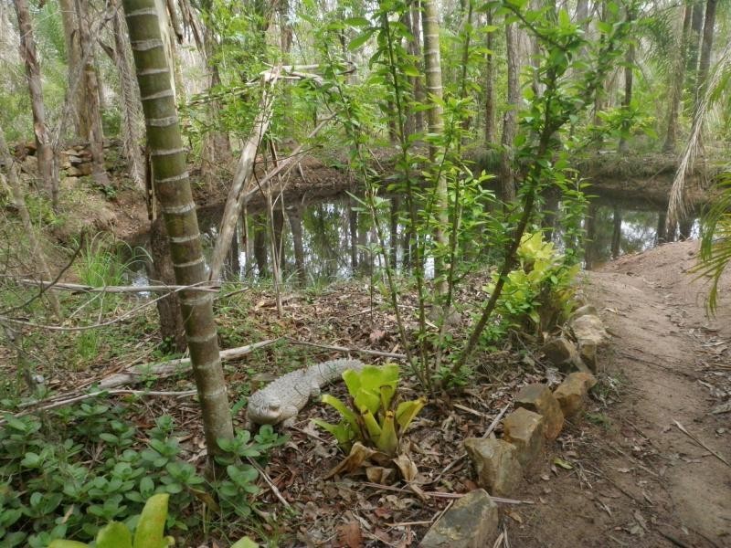 Bucca QLD 4670