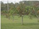 Bucca QLD 4670