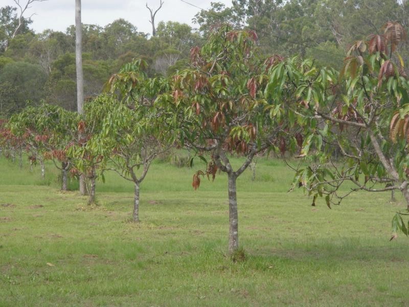 Bucca QLD 4670