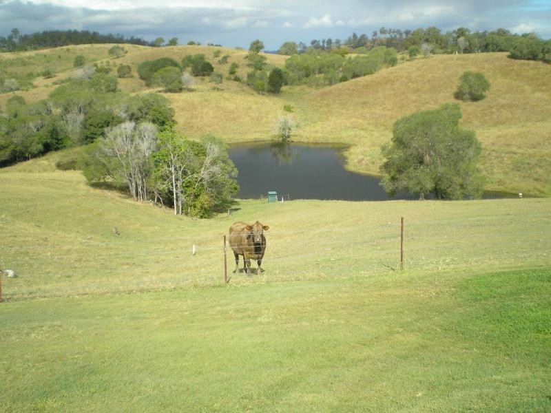 Tirroan QLD 4671