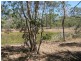 Oyster Creek QLD 4674