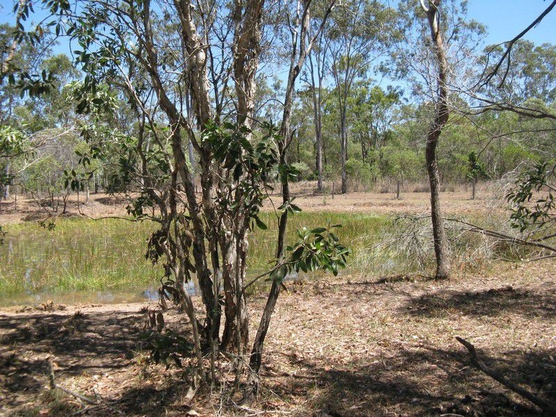 Oyster Creek QLD 4674