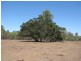 Oyster Creek QLD 4674