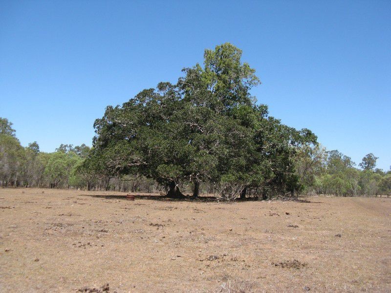 Oyster Creek QLD 4674