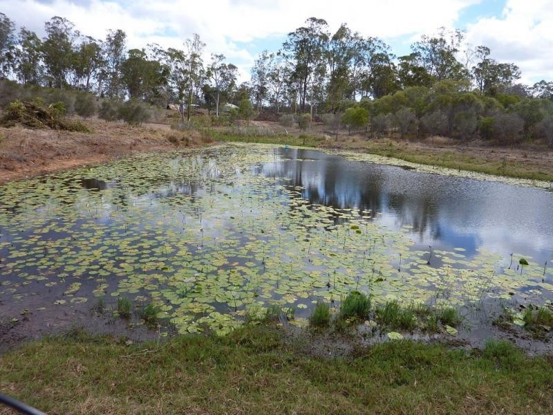 49 Billabong Way, Bucca QLD 4670