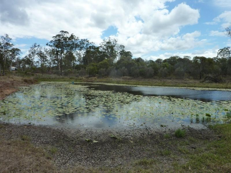 49 Billabong Way, Bucca QLD 4670