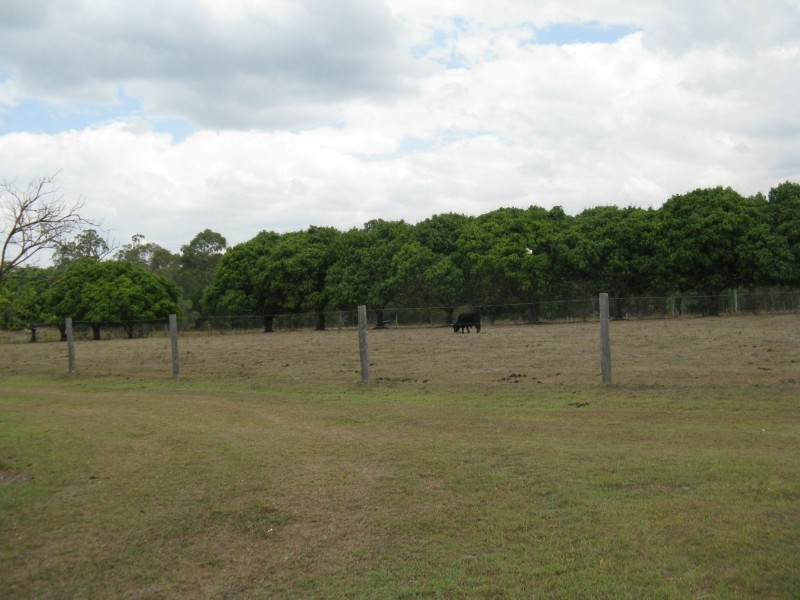 Avondale QLD 4670