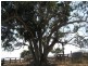 Mount Perry QLD 4671