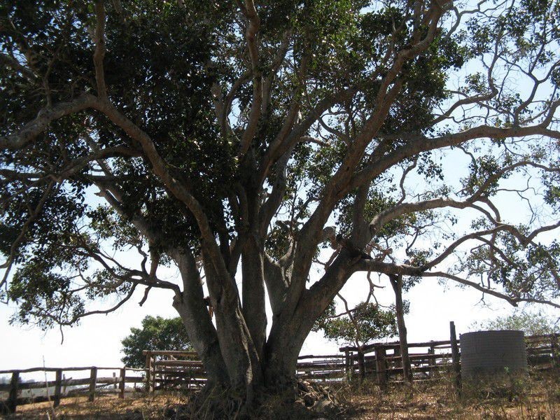 Mount Perry QLD 4671