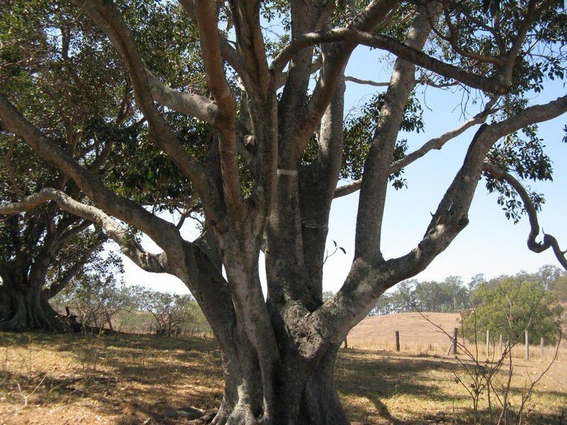 Mount Perry QLD 4671
