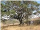 Mount Perry QLD 4671