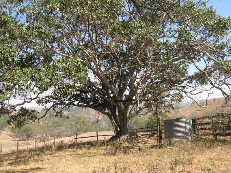 Mount Perry QLD 4671