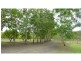 Delan QLD 4671
