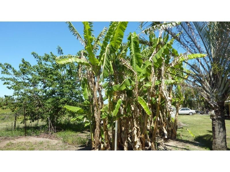 Alloway QLD 4670