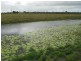 Moorland QLD 4670