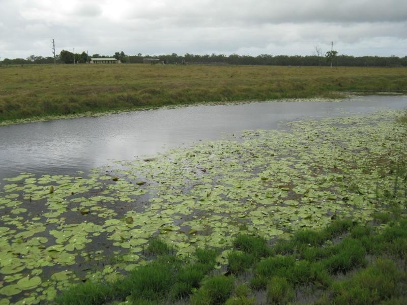 Moorland QLD 4670