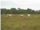 Moorland QLD 4670