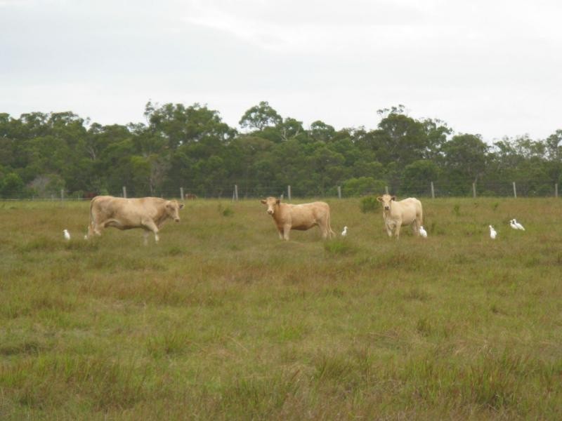 Moorland QLD 4670